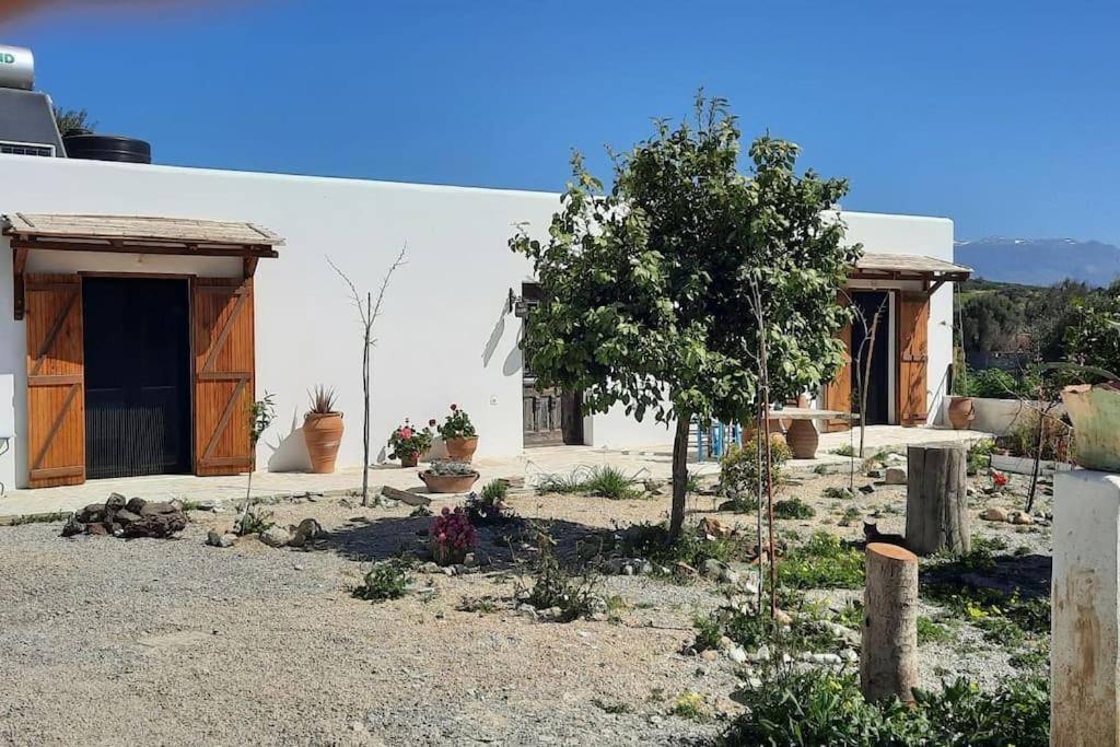 Villa Louloudia Stylish Luxury Villa With Private Pool Пицидия Екстериор снимка